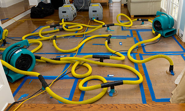 Professional Water Extraction technician working in Havelock, NC